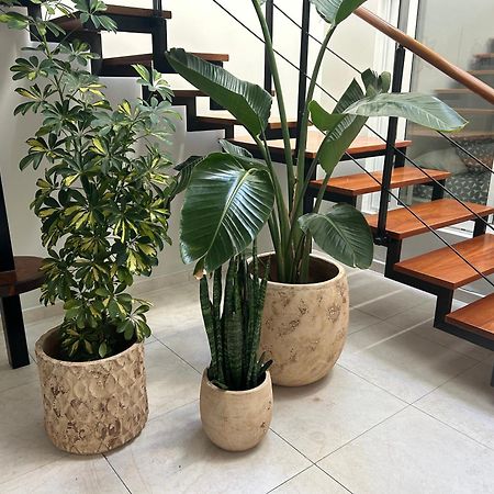 Stunning 2 Bedroom Duplex Close To Main Beach With Seaviews 푸에르토 델 카르멘 외부 사진
