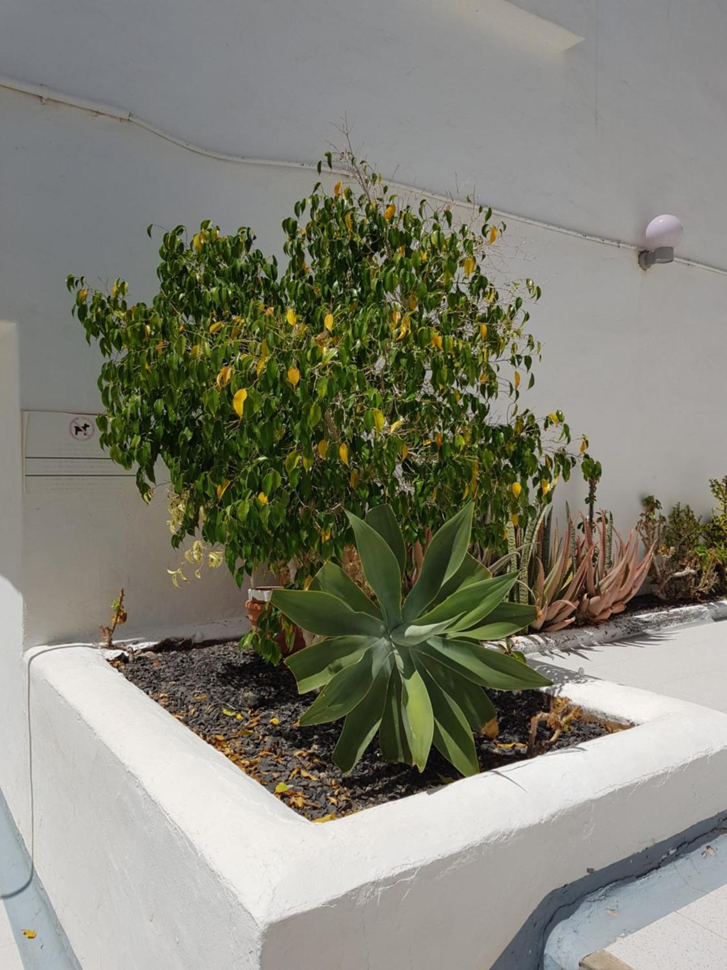 Stunning 2 Bedroom Duplex Close To Main Beach With Seaviews 푸에르토 델 카르멘 외부 사진